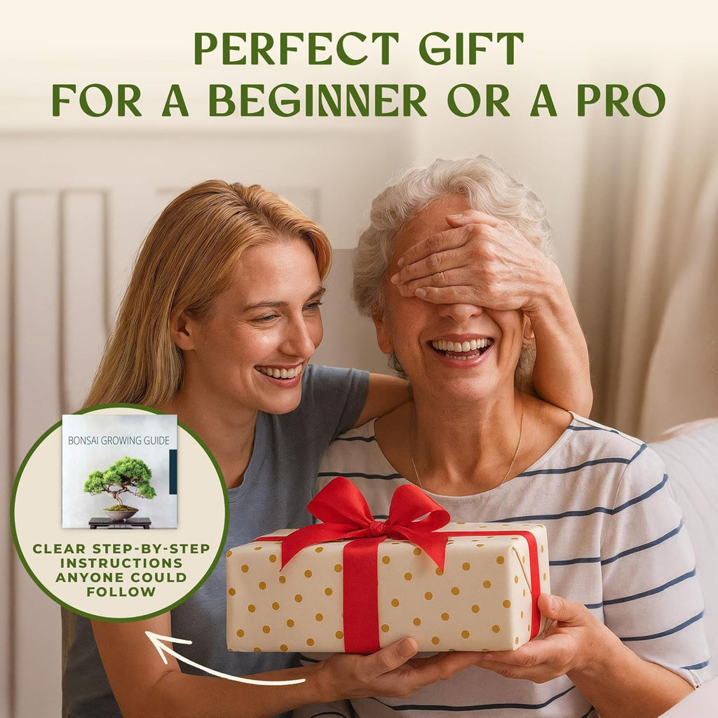 DIY Bonsai Tree Kit for Beginners – Complete Indoor Bonsai Starter Kit